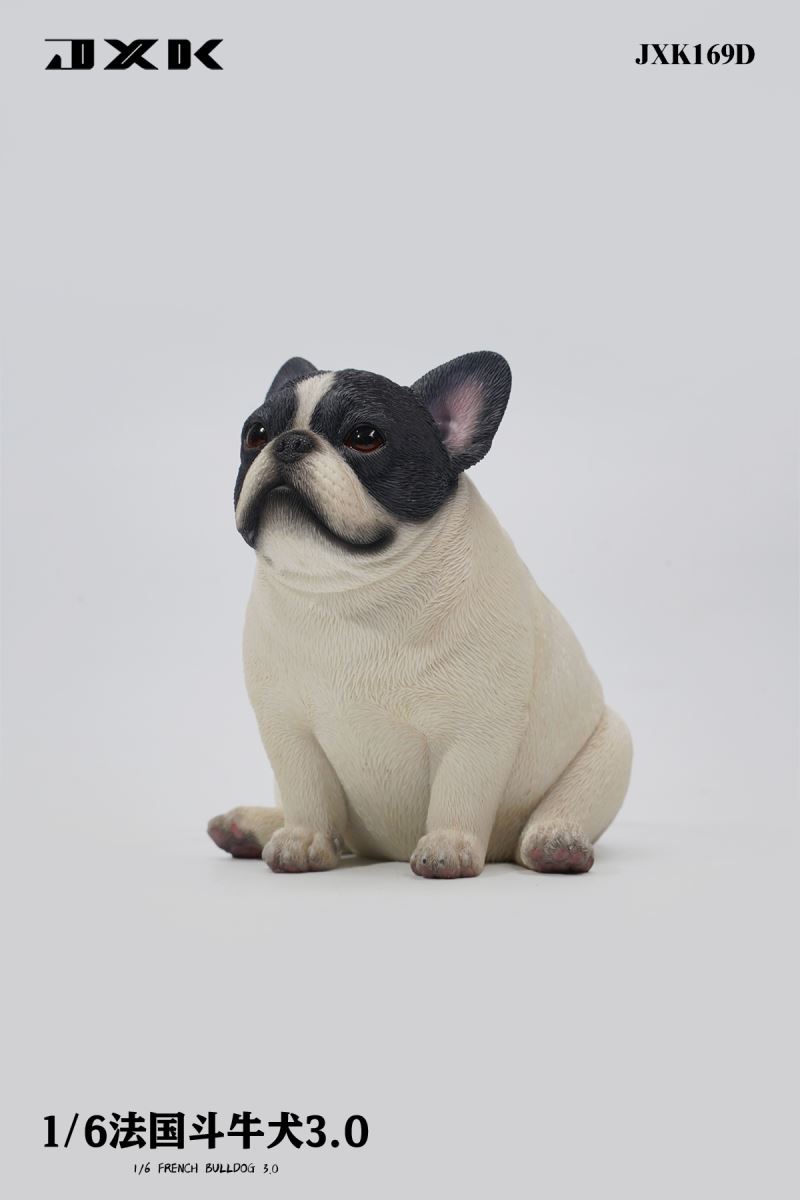 French Bulldog 3.0 (JXK169) 1/6