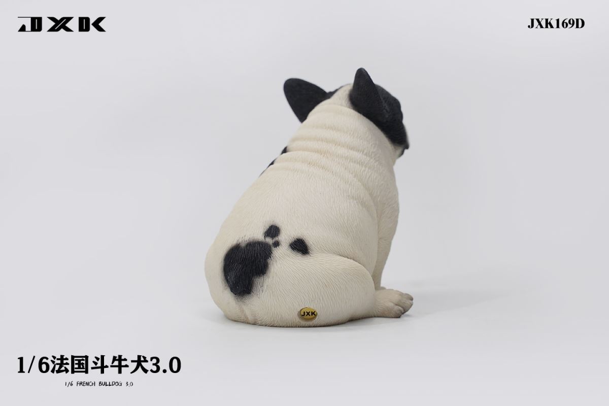 French Bulldog 3.0 (JXK169) 1/6