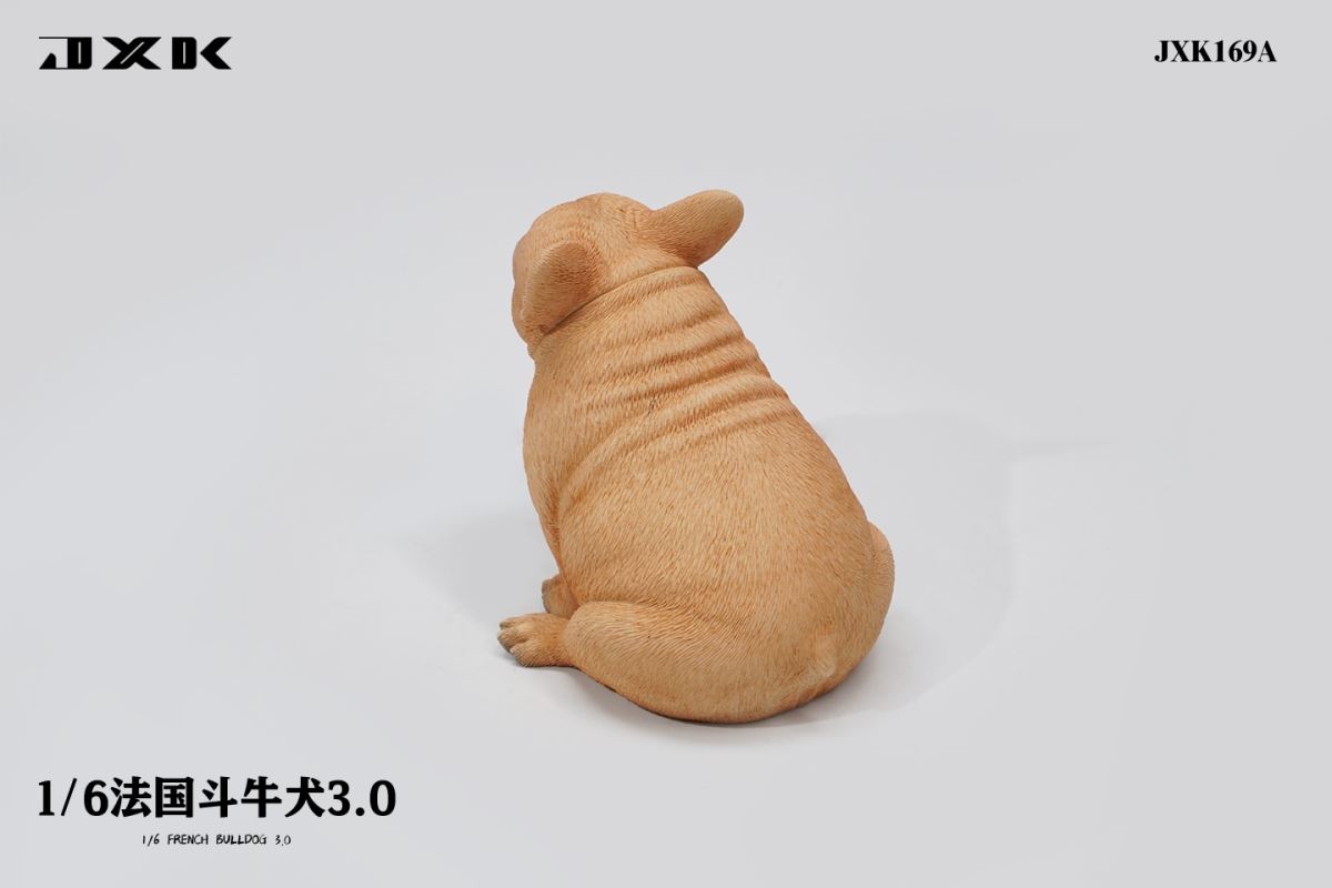 French Bulldog 3.0 (JXK169) 1/6