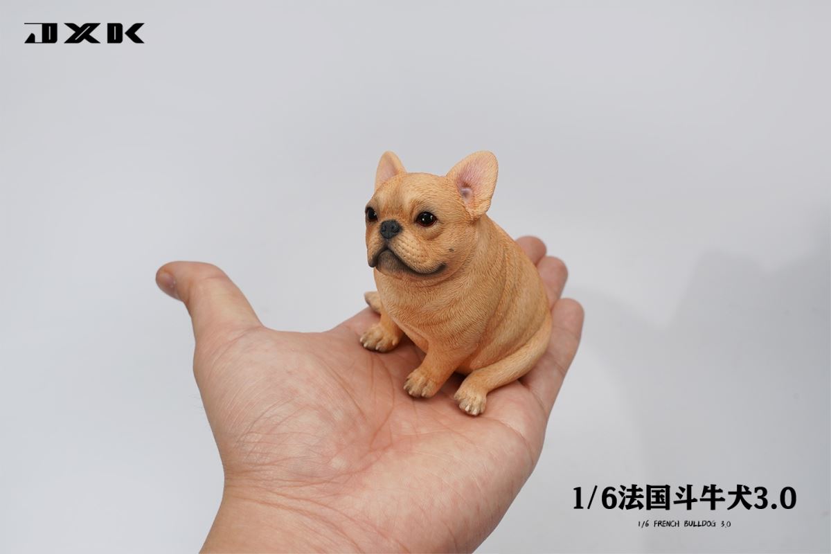 French Bulldog 3.0 (JXK169) 1/6
