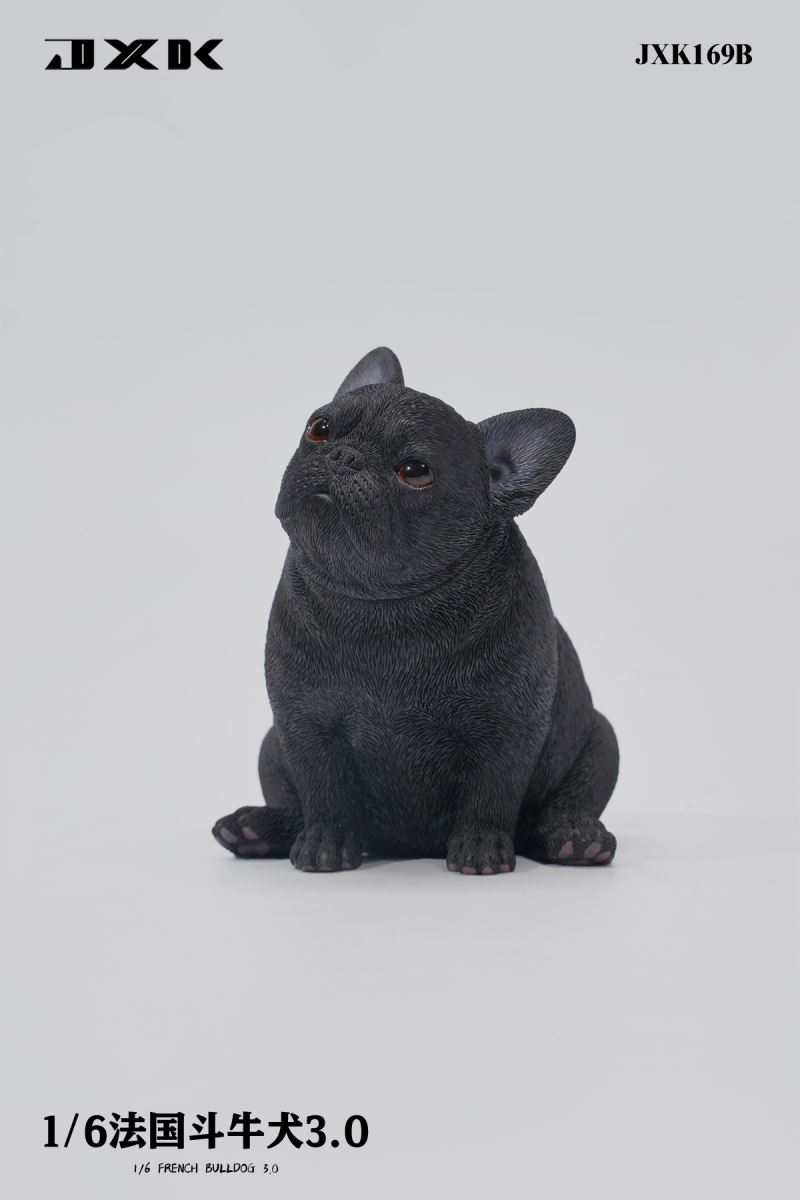 French Bulldog 3.0 (JXK169) 1/6