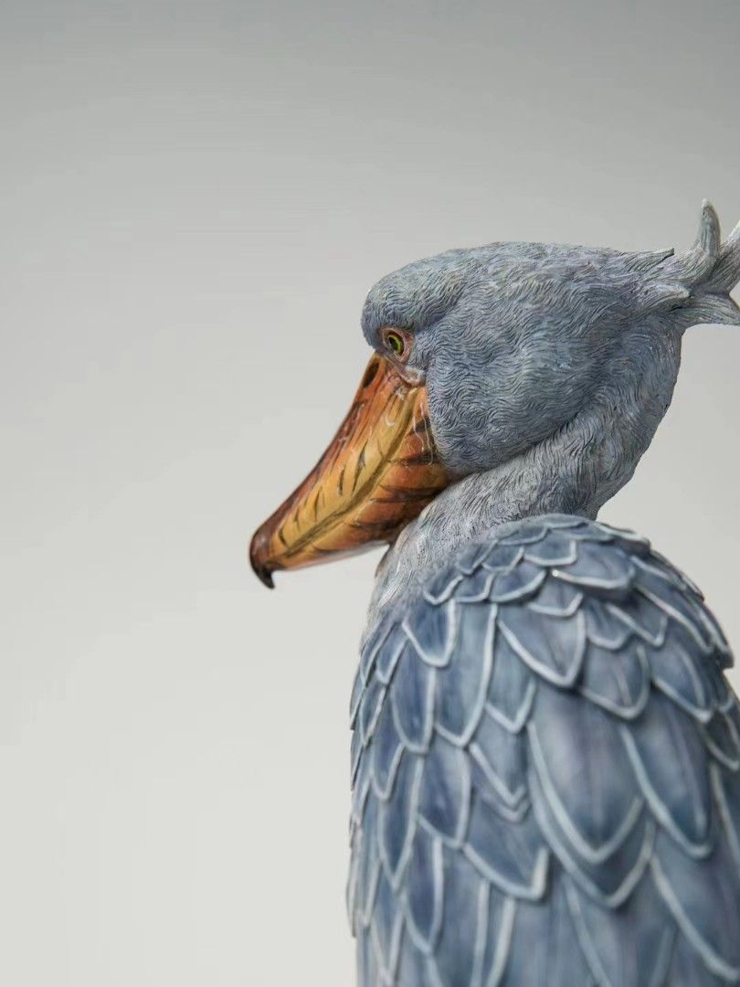Shoebill Stork