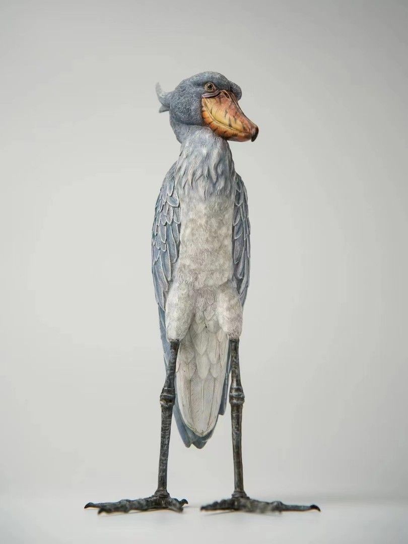 Shoebill Stork