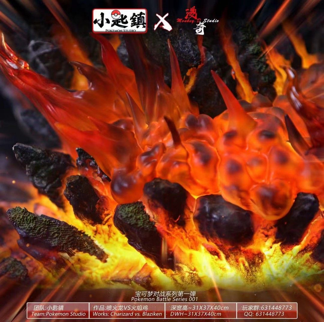 Charizard VS Blaziken - Pokemon 