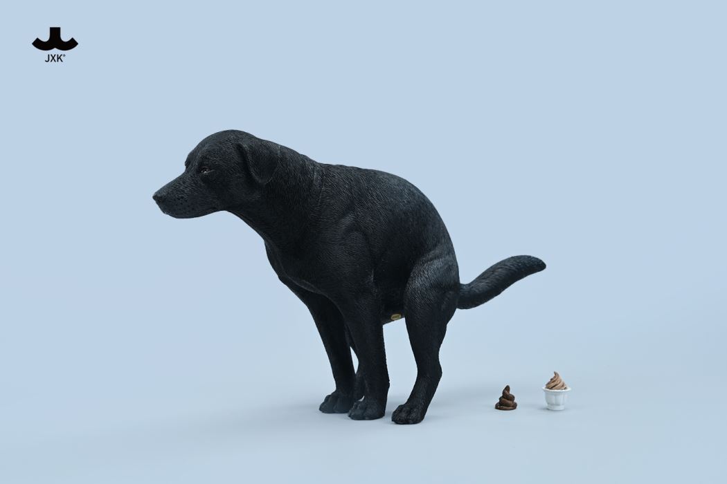 Labrador 1/6