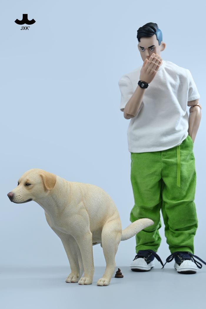 Labrador 1/6