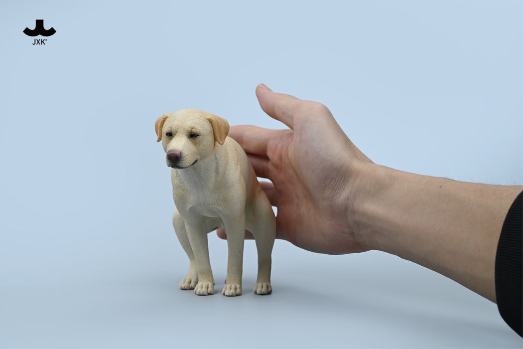 Labrador 1/6