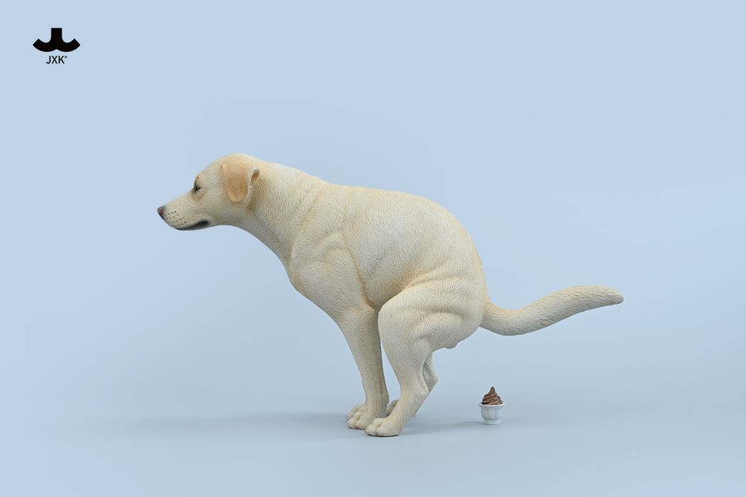 Labrador 1/6