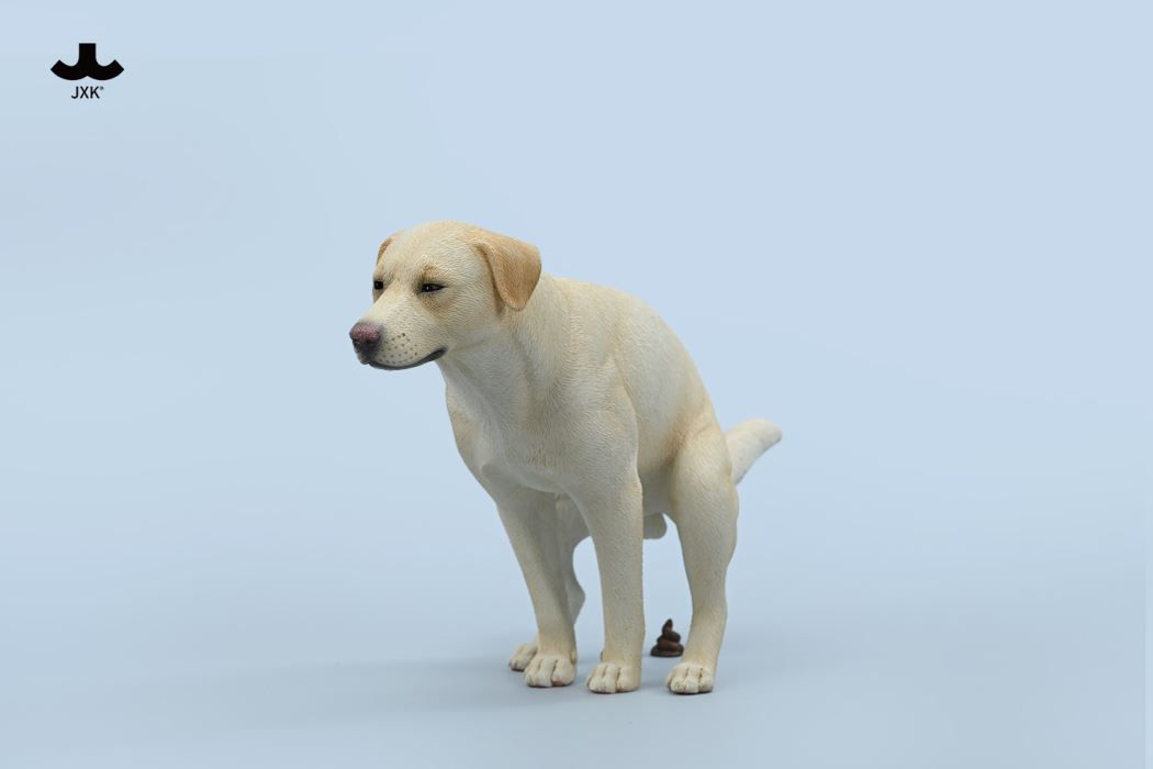 Labrador 1/6