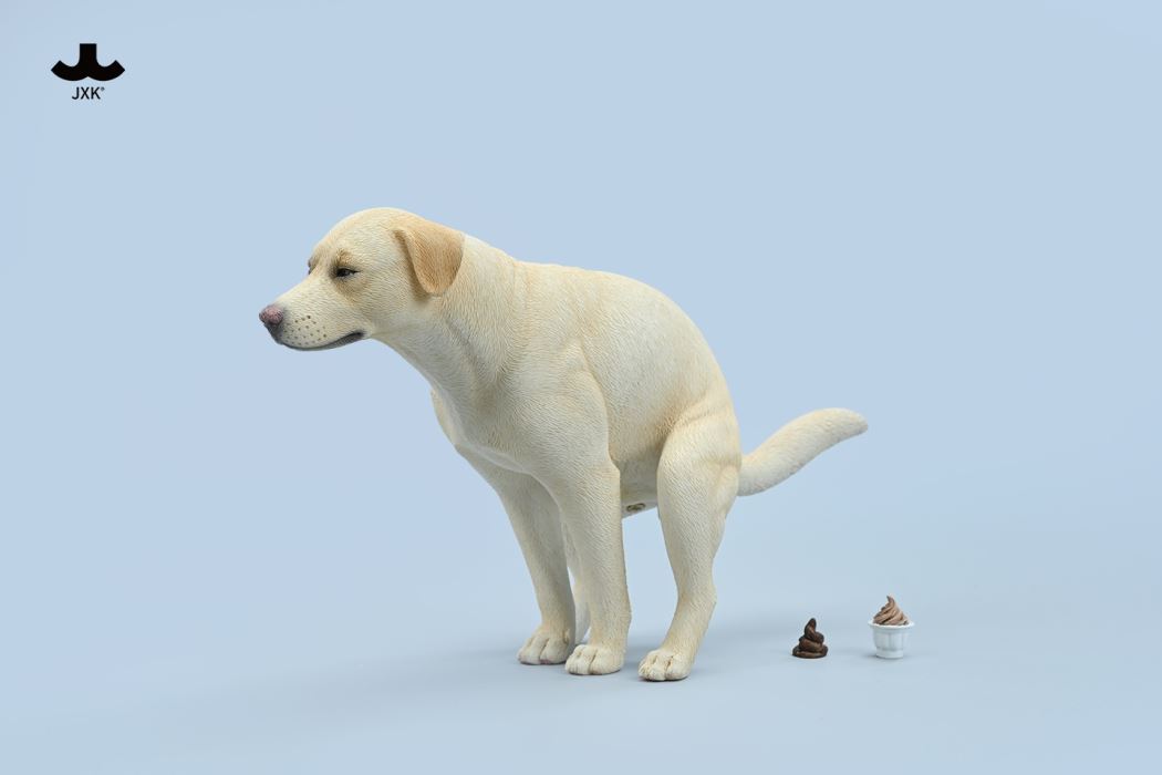 Labrador 1/6