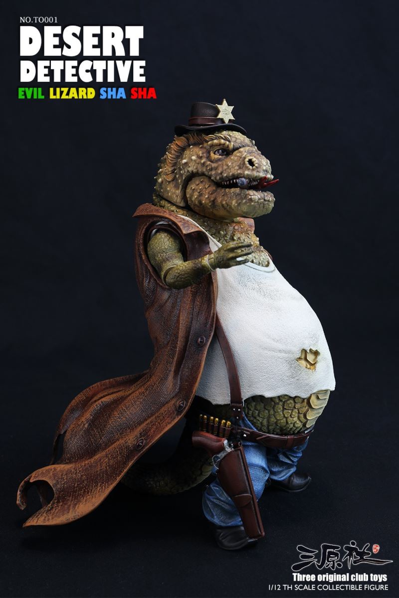 Desert Detective 1/12