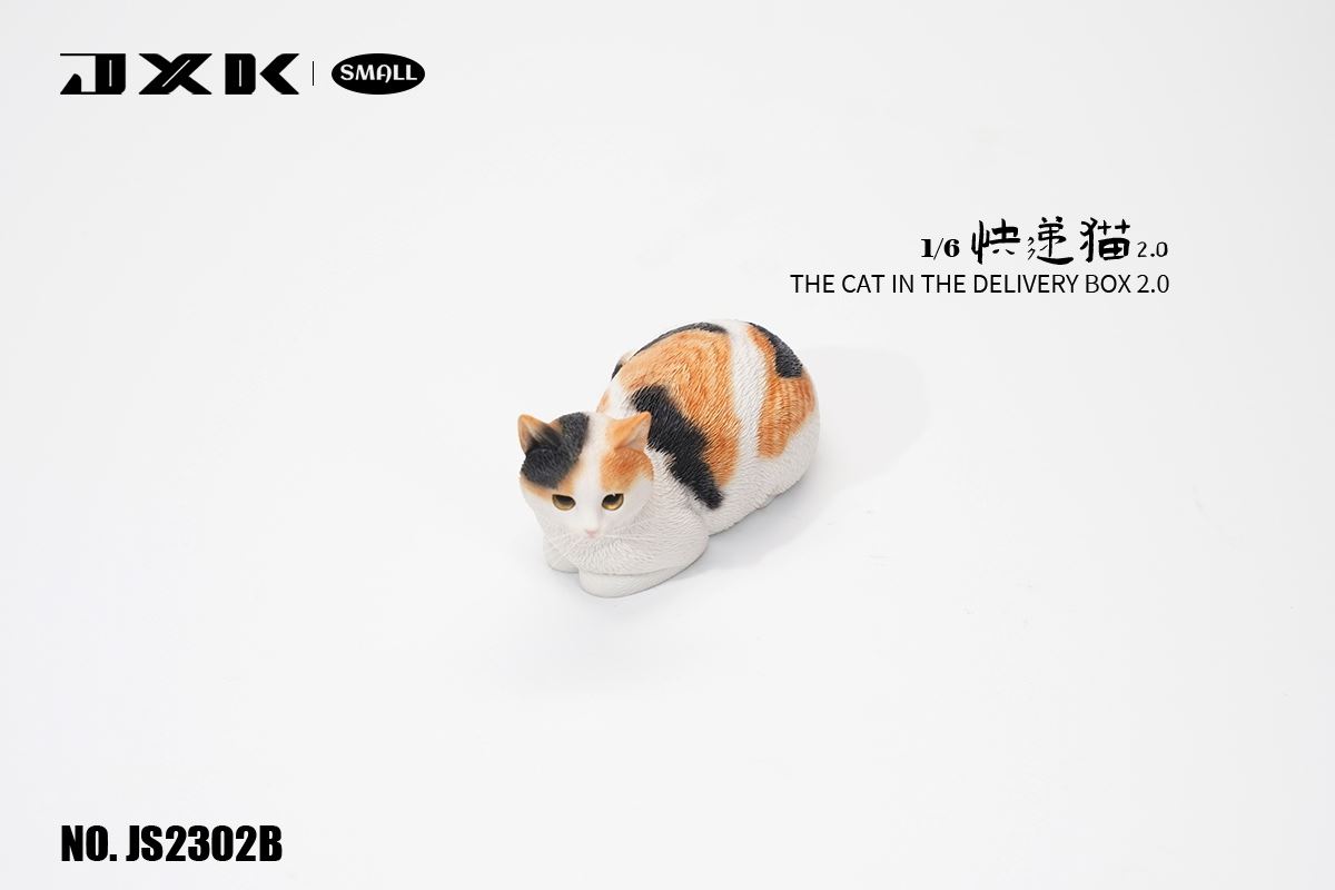 The Cat In The Delivery Box 2.0 1/6