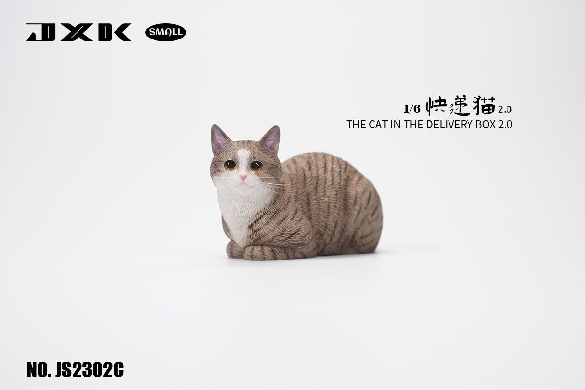 The Cat In The Delivery Box 2.0 1/6