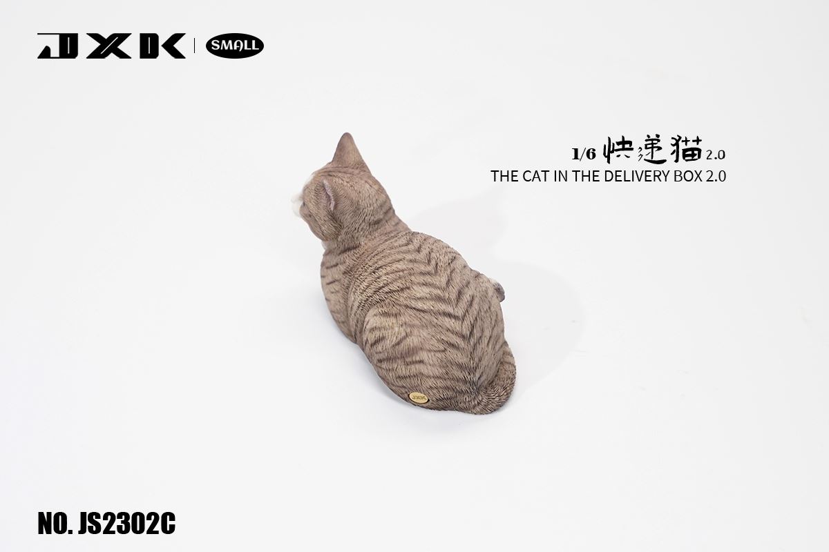The Cat In The Delivery Box 2.0 1/6