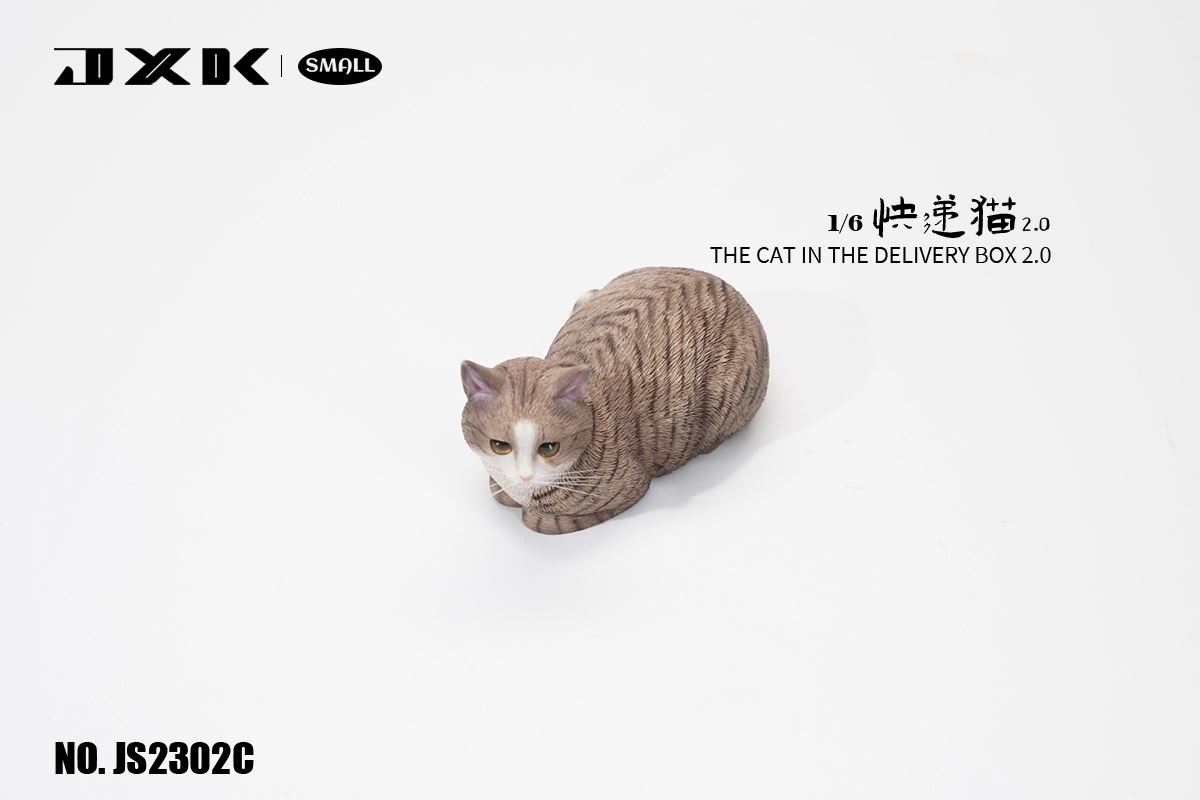 The Cat In The Delivery Box 2.0 1/6