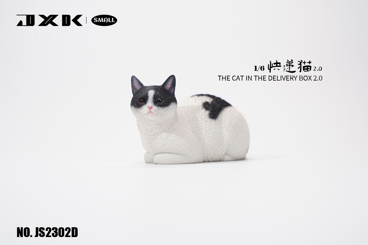 The Cat In The Delivery Box 2.0 1/6