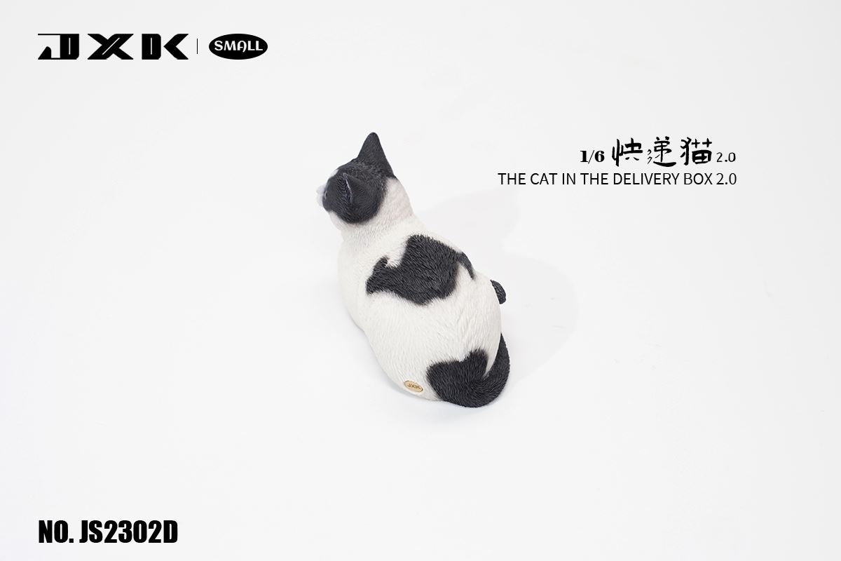 The Cat In The Delivery Box 2.0 1/6