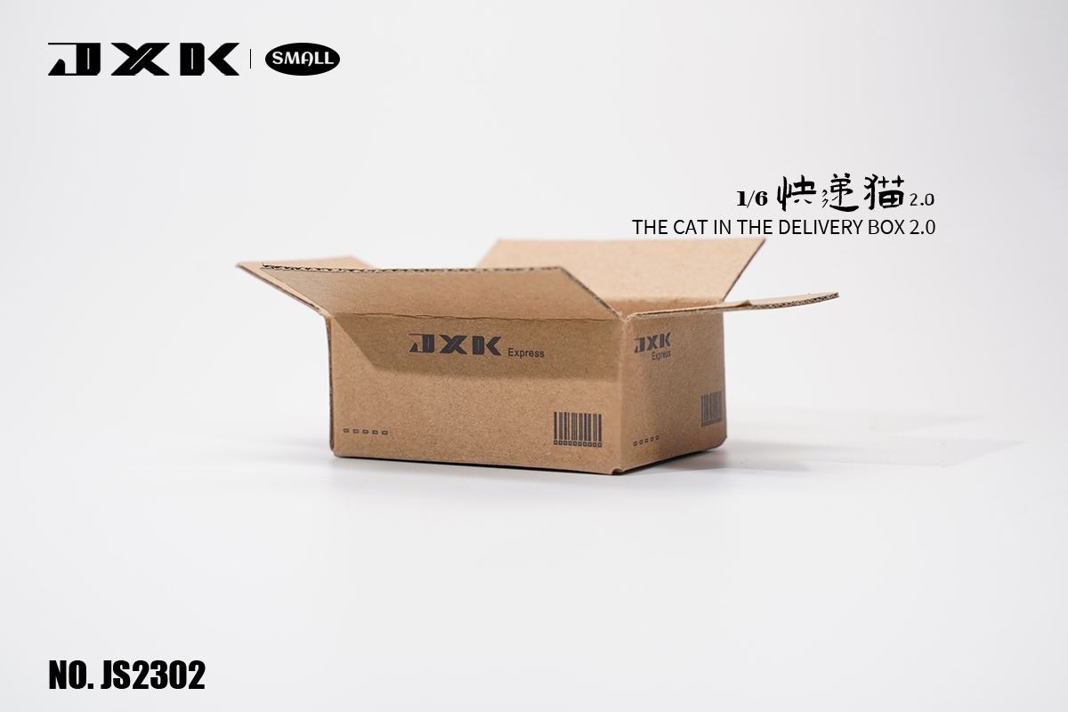 The Cat In The Delivery Box 2.0 1/6