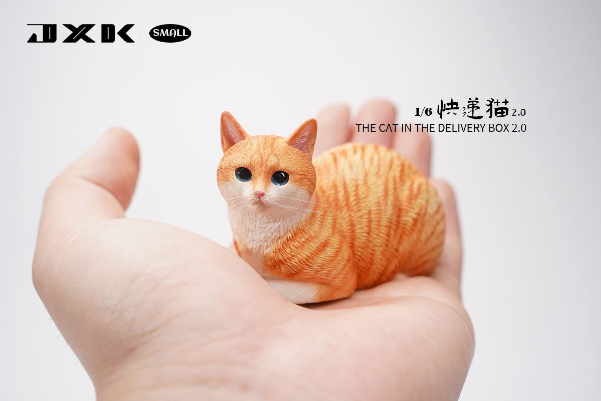 The Cat In The Delivery Box 2.0 1/6