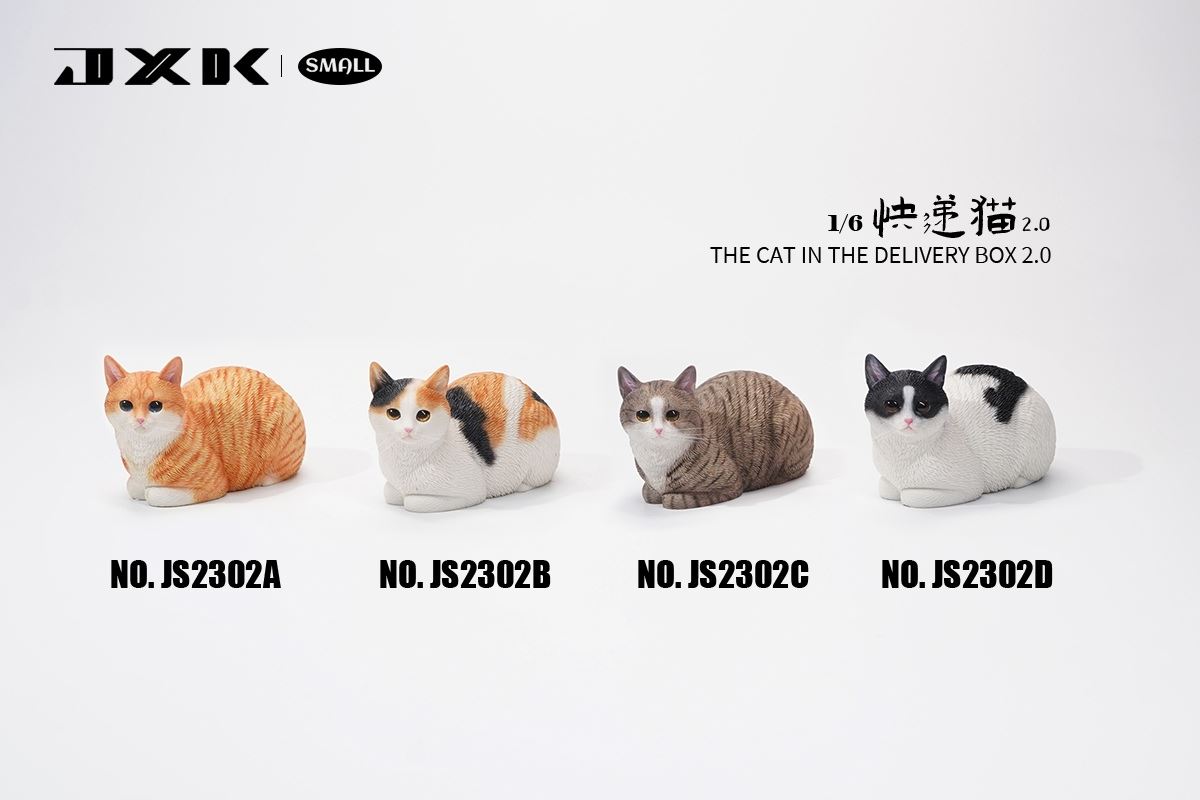 The Cat In The Delivery Box 2.0 1/6