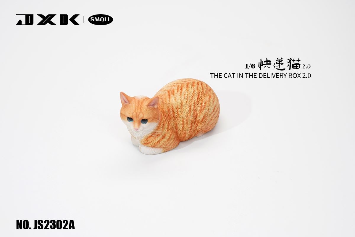 The Cat In The Delivery Box 2.0 1/6