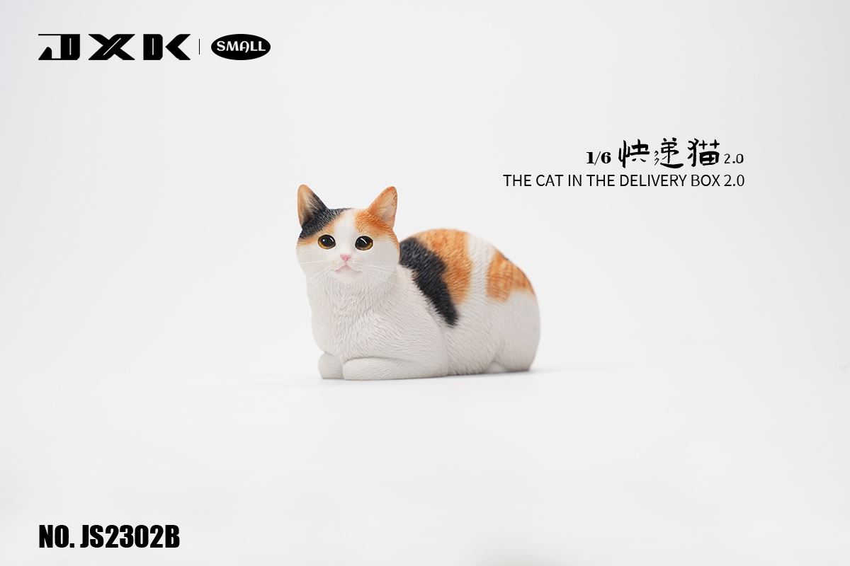 The Cat In The Delivery Box 2.0 1/6