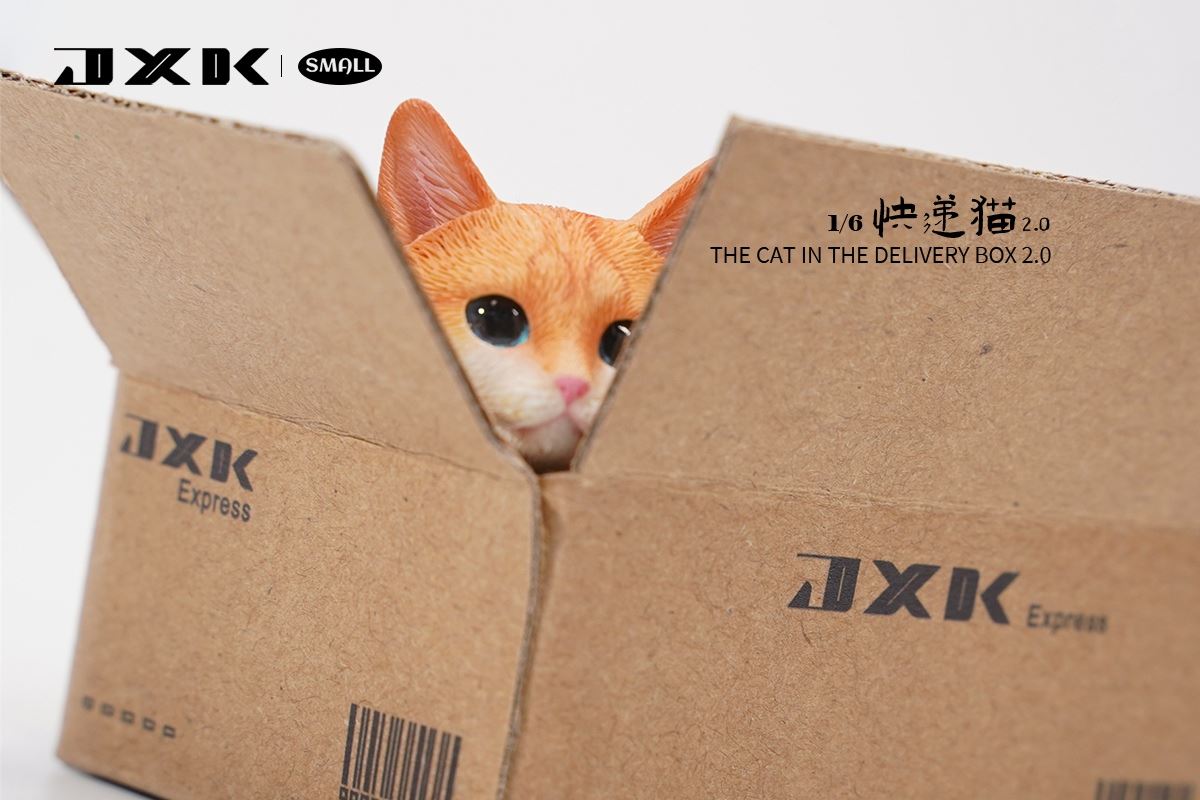 The Cat In The Delivery Box 2.0 1/6