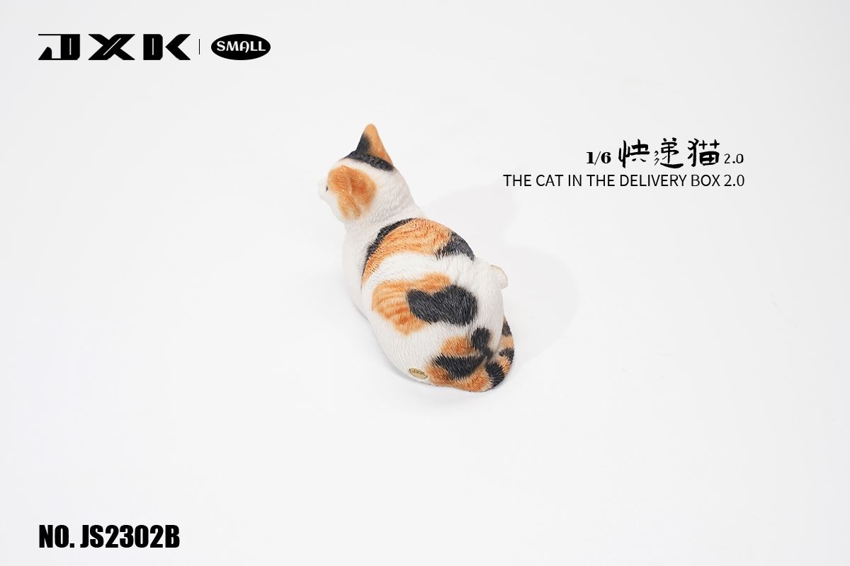 The Cat In The Delivery Box 2.0 1/6