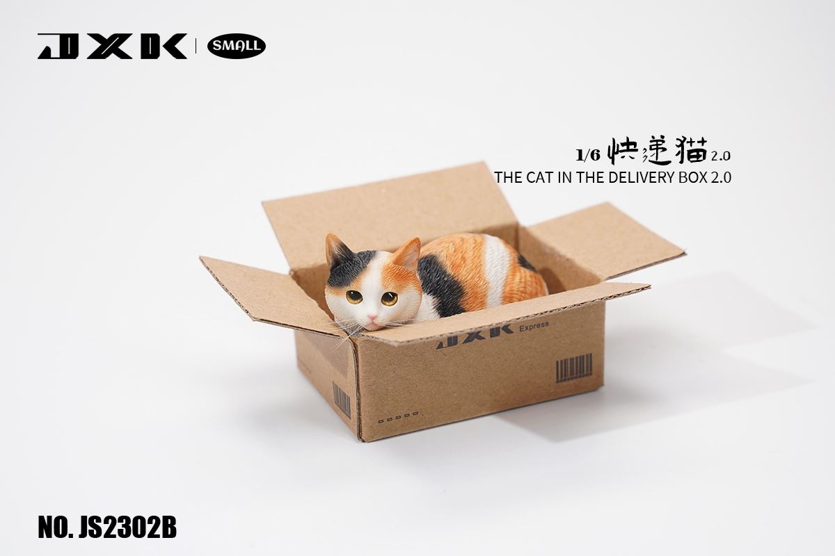 The Cat In The Delivery Box 2.0 1/6