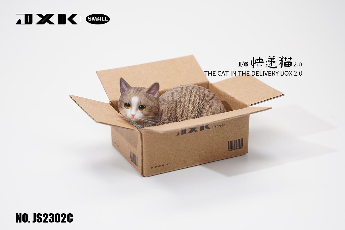 The Cat In The Delivery Box 2.0 1/6