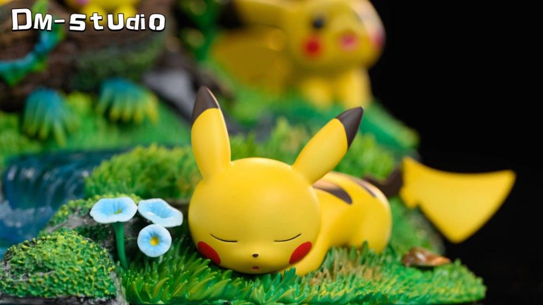 DM Pokemon Pikachu Paradise