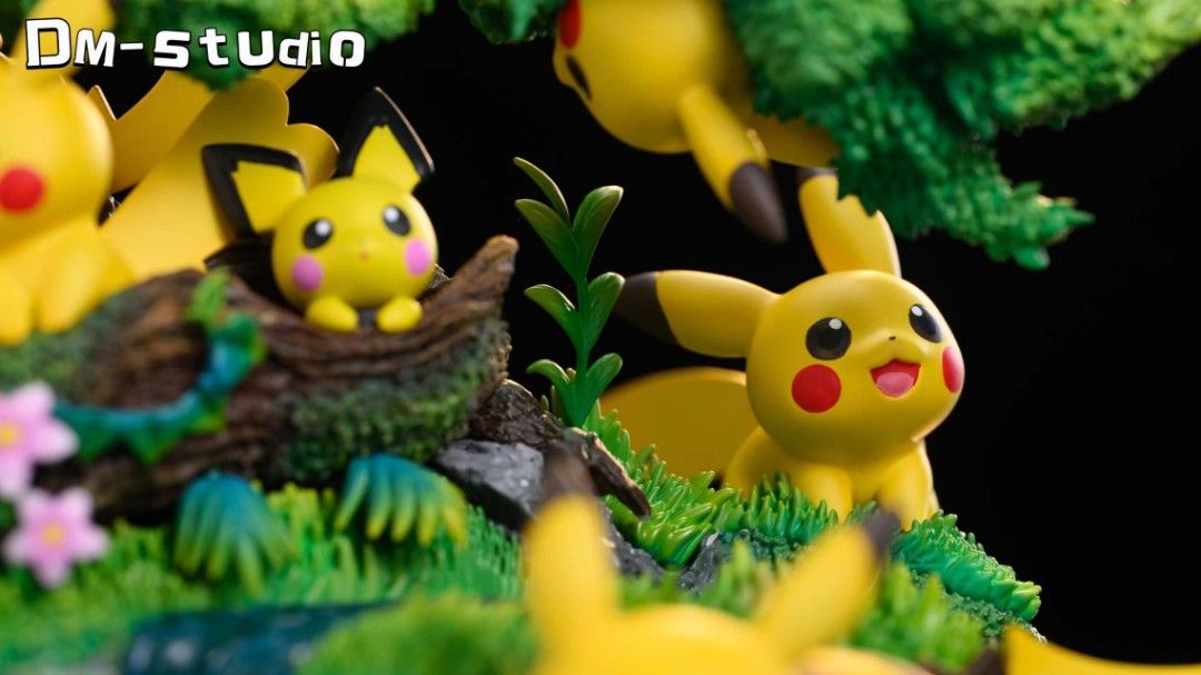 DM Pokemon Pikachu Paradise