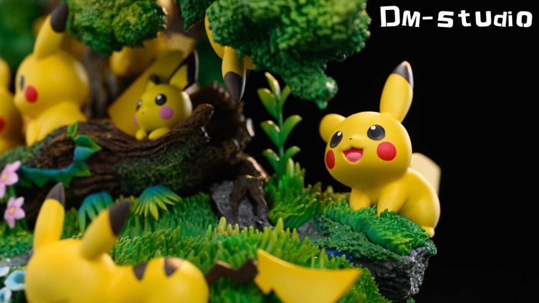 DM Pokemon Pikachu Paradise
