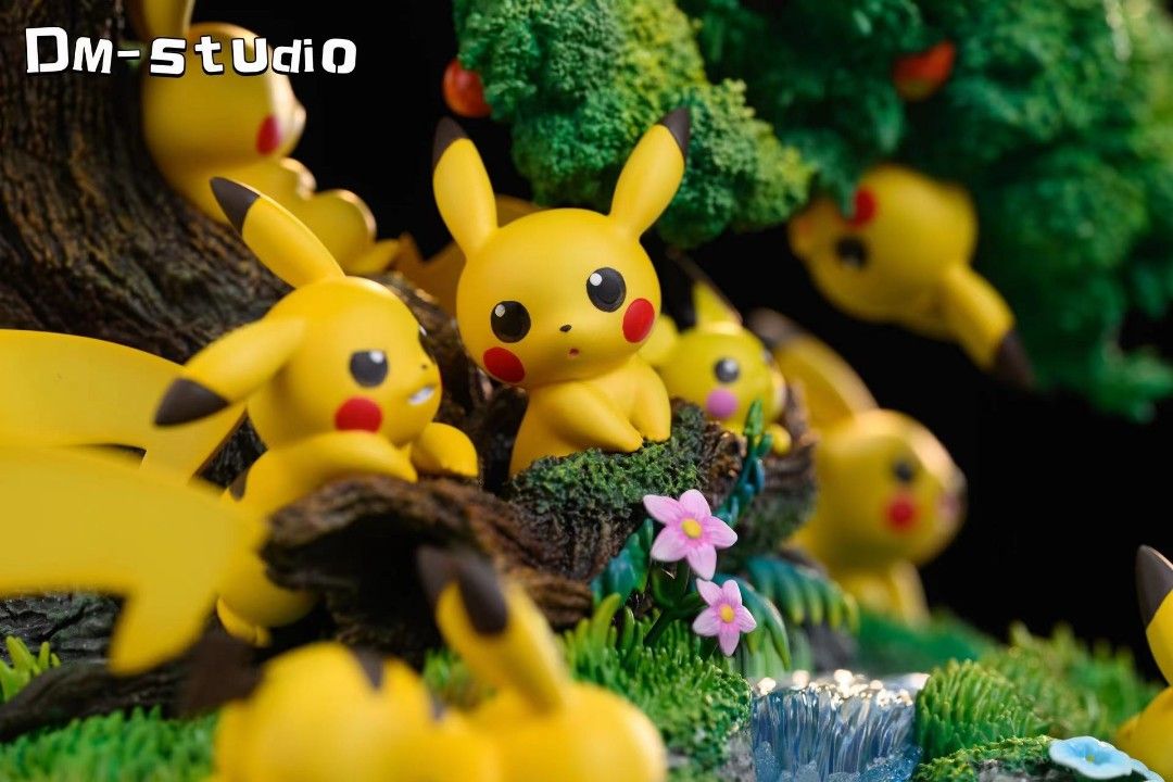 DM Pokemon Pikachu Paradise