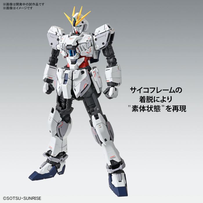 MG 1/100 Narrative Gundam C Equipment Ver.Ka