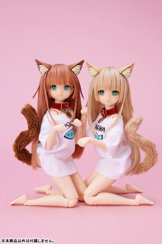 CharaDo!! 1/6 Kinako Doll Dollybird