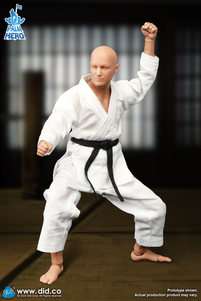 Handheld Hero Series Zhenle Series Karate Player 1/12