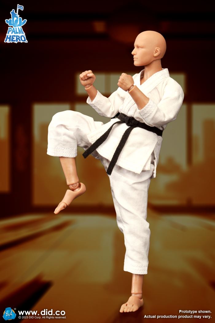 Handheld Hero Series Zhenle Series Karate Player 1/12