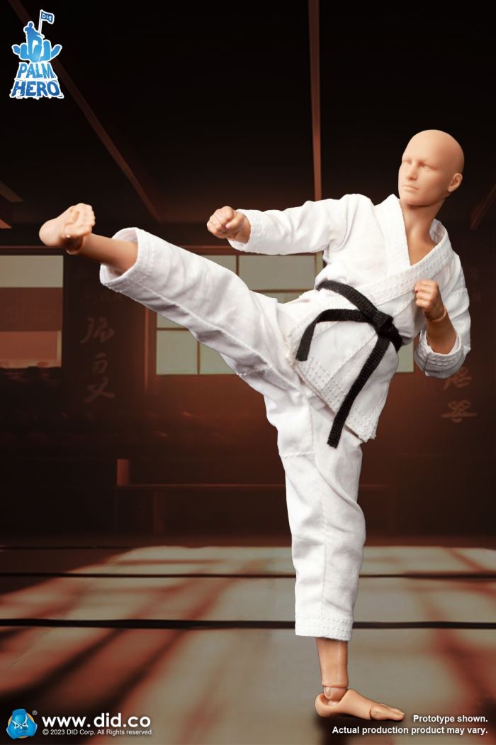 Handheld Hero Series Zhenle Series Karate Player 1/12