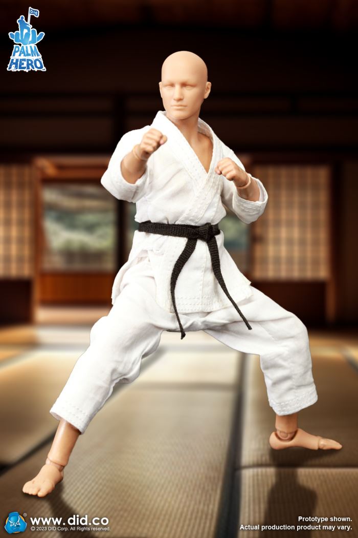 Handheld Hero Series Zhenle Series Karate Player 1/12