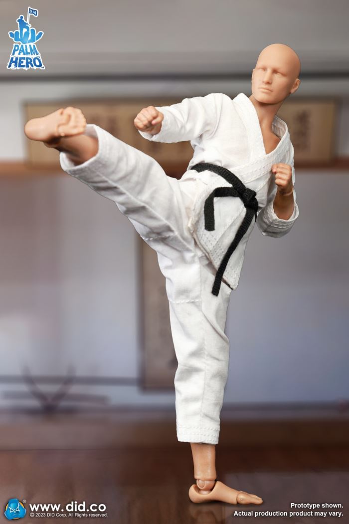 Handheld Hero Series Zhenle Series Karate Player 1/12