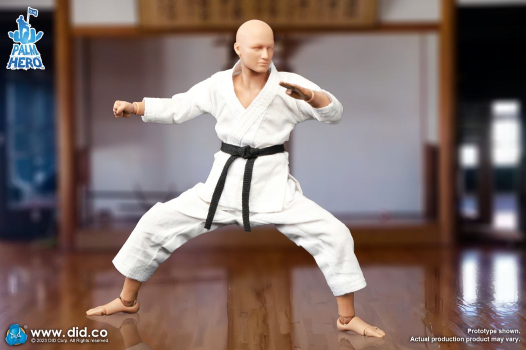 Handheld Hero Series Zhenle Series Karate Player 1/12