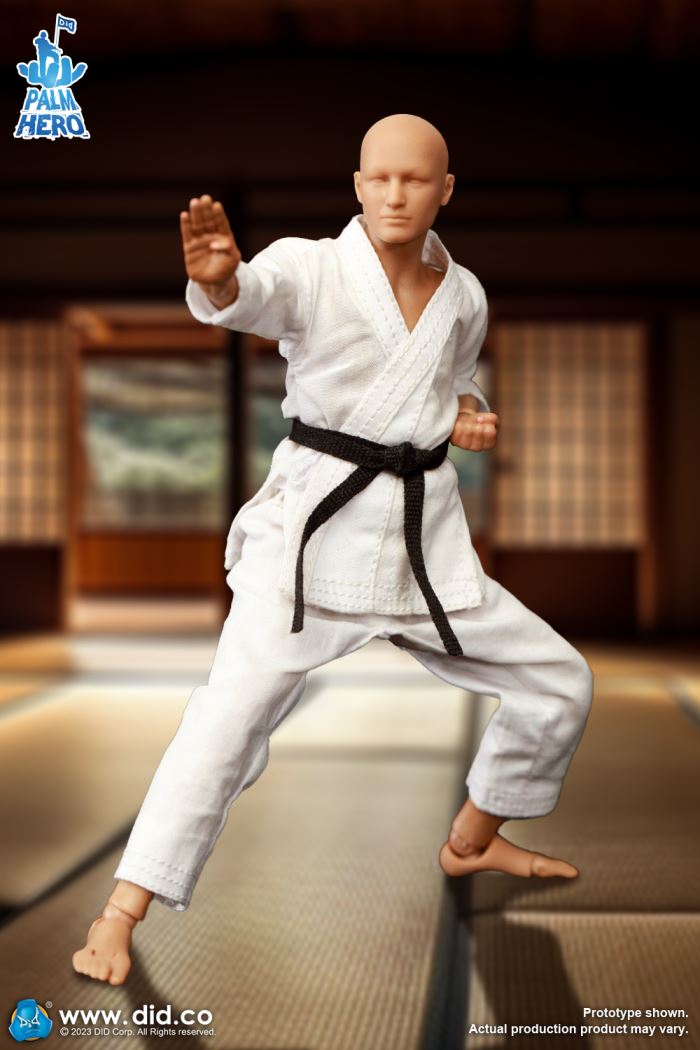 Handheld Hero Series Zhenle Series Karate Player 1/12