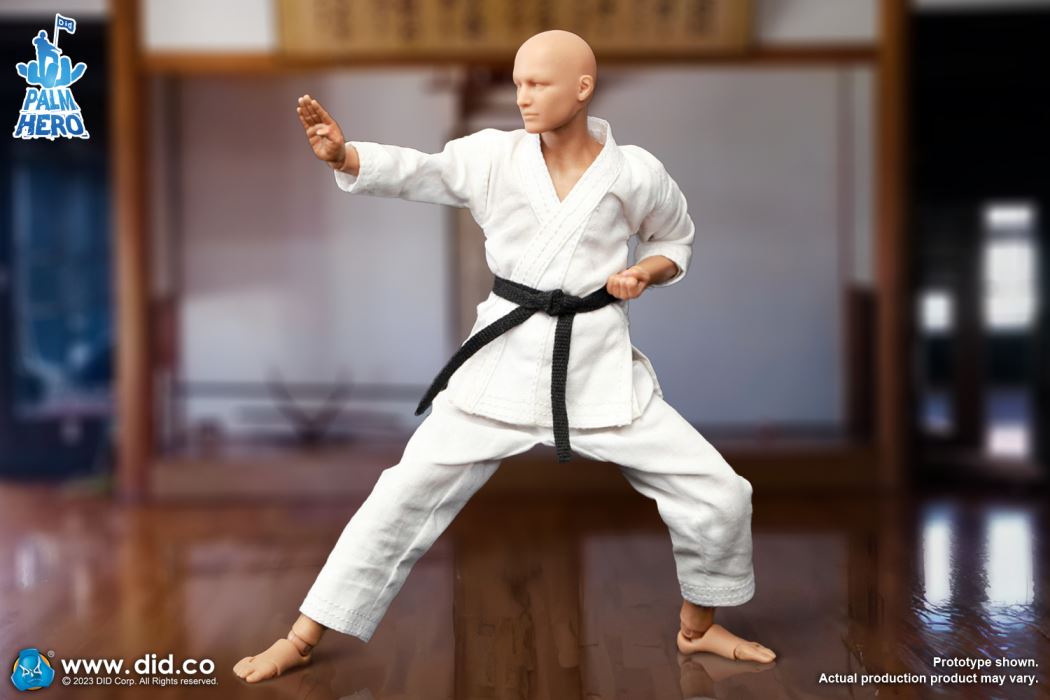 Handheld Hero Series Zhenle Series Karate Player 1/12