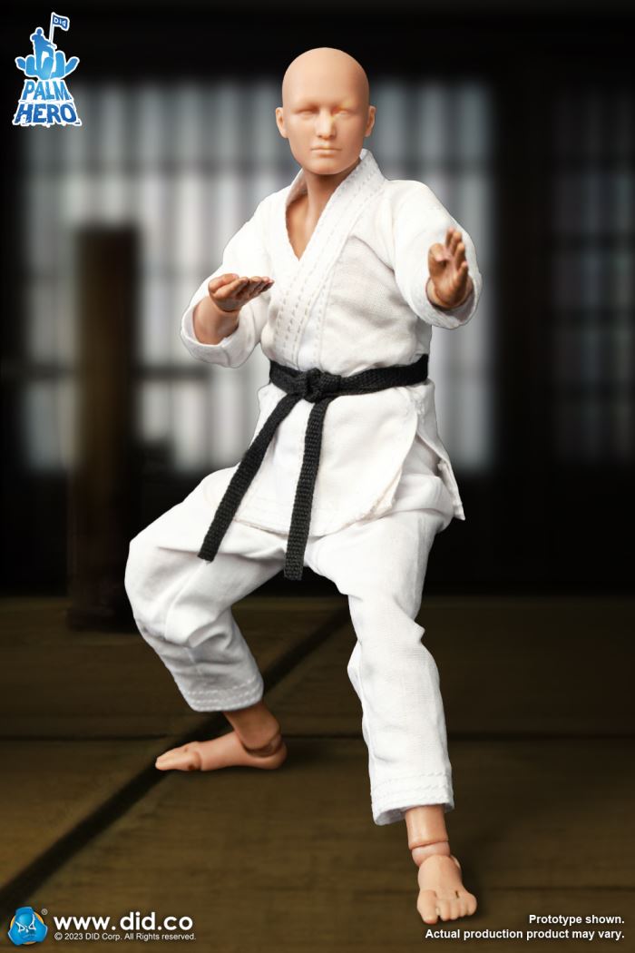 Handheld Hero Series Zhenle Series Karate Player 1/12