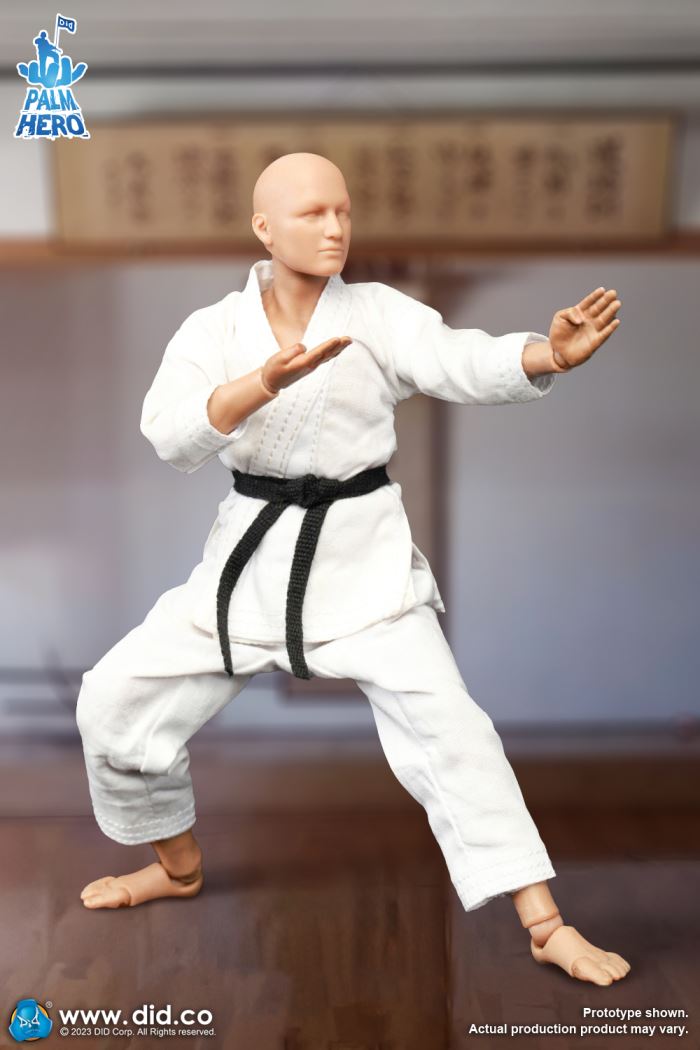 Handheld Hero Series Zhenle Series Karate Player 1/12