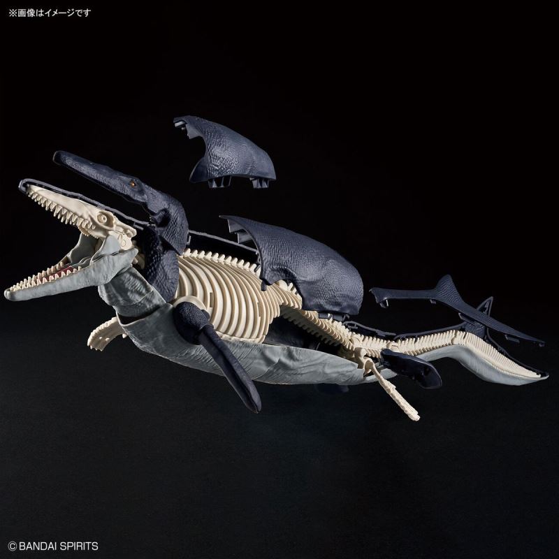 Planosaurus Mosasaurus