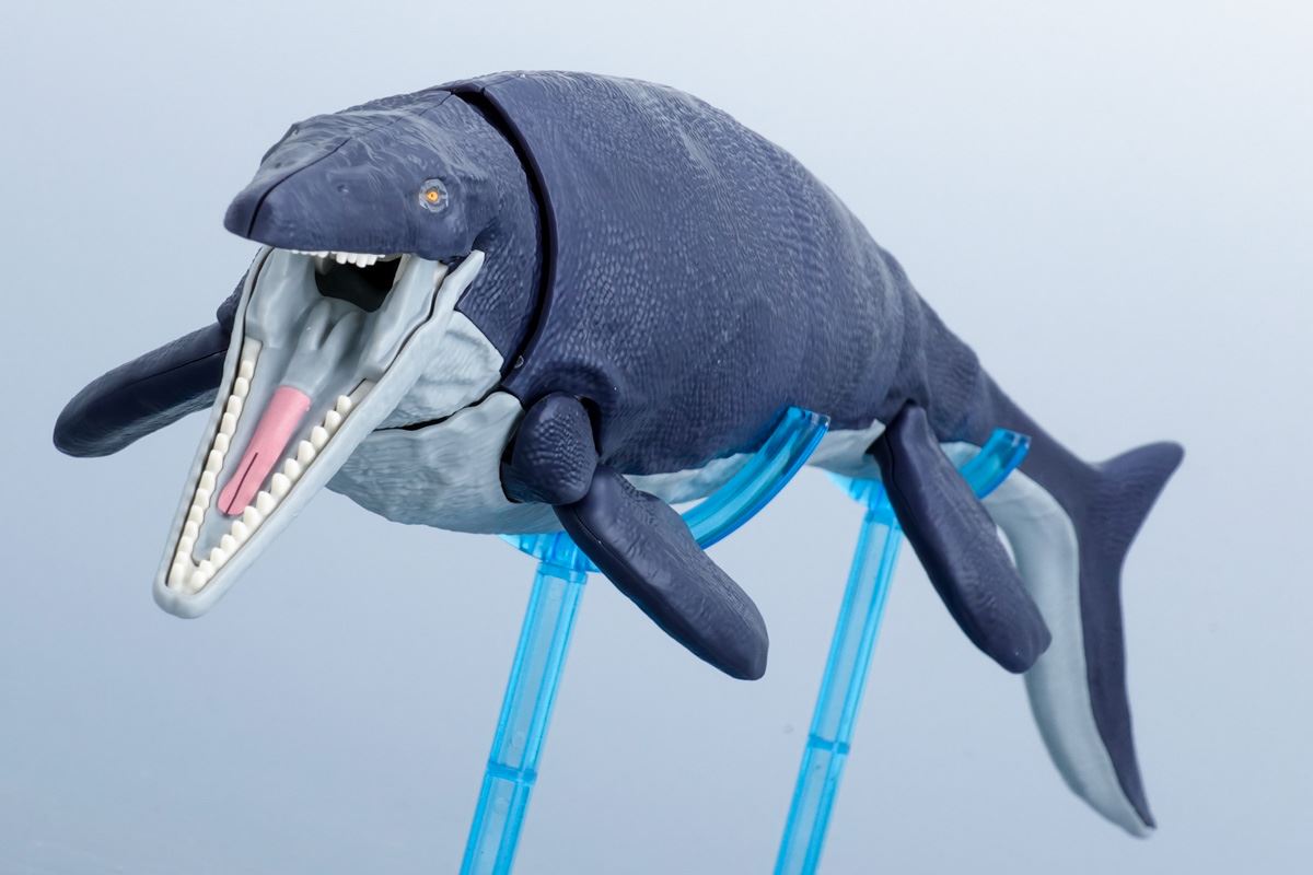 Planosaurus Mosasaurus