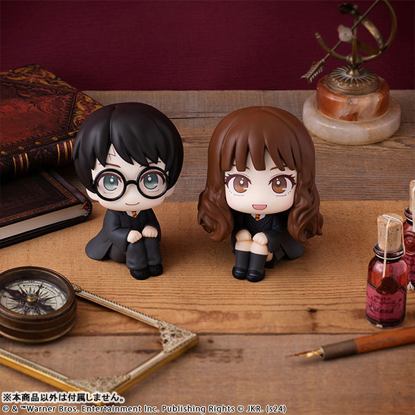 LookUp Harry Potter - Harry Potter & Hermione Granger
