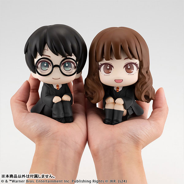 LookUp Harry Potter - Harry Potter & Hermione Granger